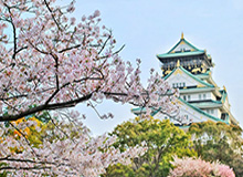 世界杯直播官网入口-亚历山大22分里夫斯31分 雷霆大胜湖人总分2-0